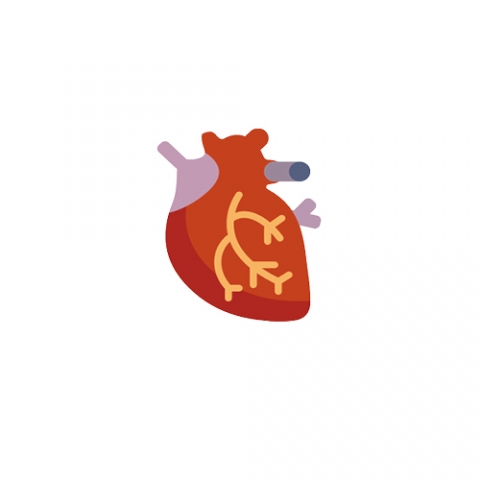 Cardiologie...